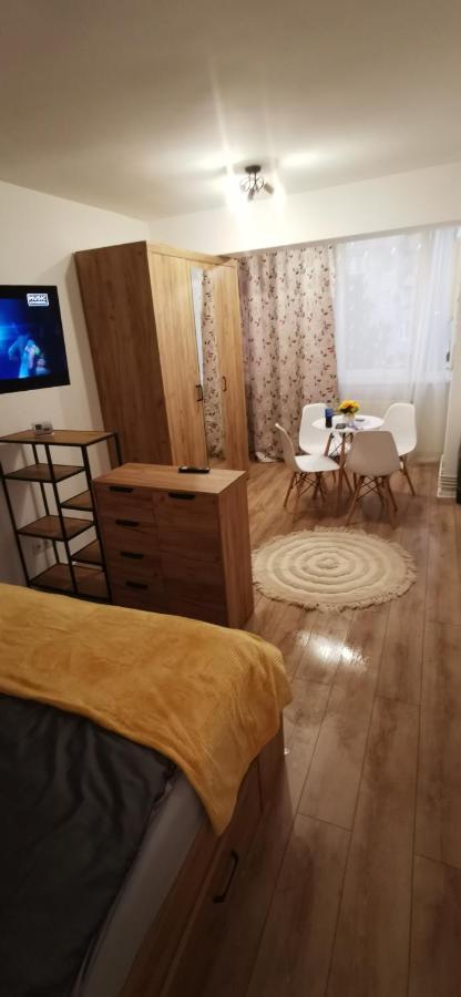 Appartamento Ana Studio Târgu-Mureş Esterno foto