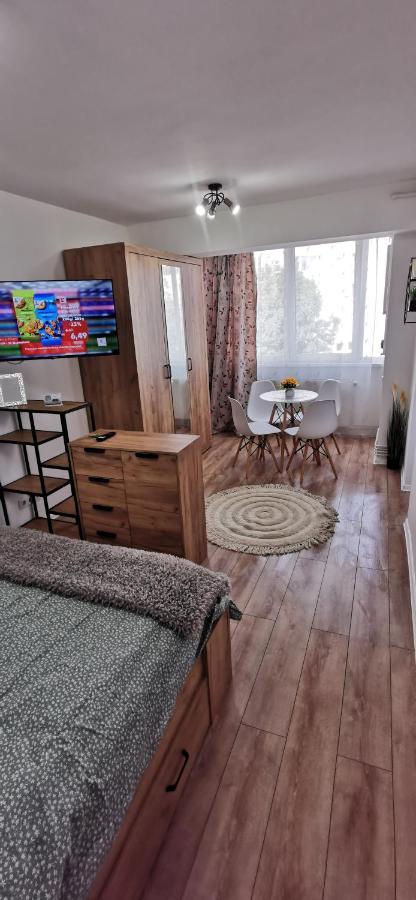 Appartamento Ana Studio Târgu-Mureş Esterno foto